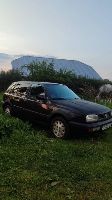 купить прицеп для легкового авто: Volkswagen Golf: 1994 г., 1.8 л, Механика, Бензин, Хэтчбэк