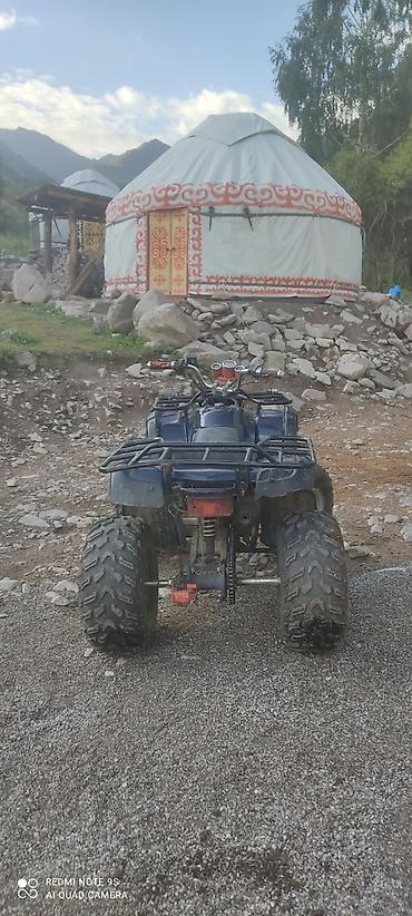 яди мото: Квадроцикл Yamaha, Бензин, 200 куб. см, Взрослый — 4