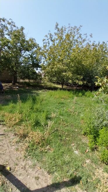 Torpaq sahələrinin satışı: 8 sot, Tikinti, Maklerlər narahat etməsin, Kupça (Çıxarış) — 6