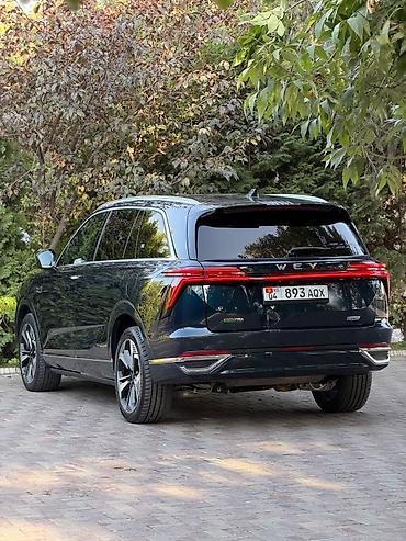 byd 06 ev: Great Wall : 2024 г., Гибрид, Кроссовер — 5
