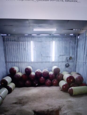 песка блок цена в Кыргызстан | КАМЕНЩИКИ, КЛАДЧИКИ: Метан балон метан
Метан редуктор
Оборудование оптовая цена