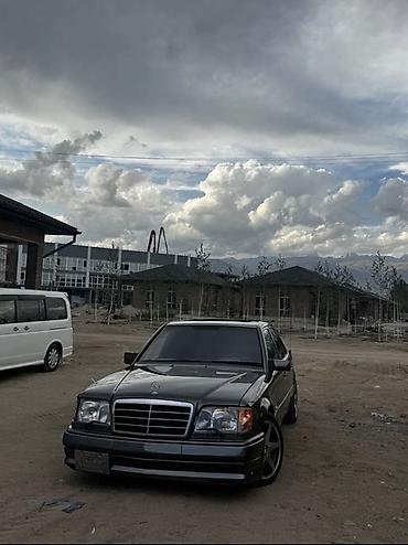 Mercedes-Benz: Mercedes-Benz W124: 1993 г., 4.2 л, Автомат, Бензин, Седан — 5