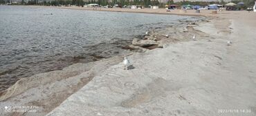 Иссык-Куль 2025: Квартира, ЦО Кыргызское взморье, Бостери, Детская площадка, Парковка, стоянка, Охраняемая территория at lalafo.kg — 17 Иссык-Куль 2025: Квартира, ЦО Кыргызское взморье, Бостери, Детская площадка, Парковка, стоянка, Охраняемая территория — 17