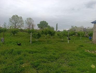 ucuz evler gence: Xaçmaz, 70 kv. m, 3 otaqlı, Hovuzlu, İşıq, Su, Kanalizasiya — 4