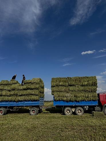 другой: Матор привазной 2 турбина донголоктор круг кт жаны прицеп кт 8 шт — 3
