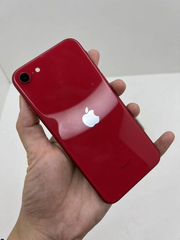 айфон 11 mini: IPhone SE 2020 | 256 ГБ Красный | Рассрочка | Защитное стекло, Чехол | Touch ID