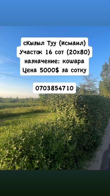 продаю участок алтын ордо: 16 соток, Для сельского хозяйства, Красная книга, Тех паспорт