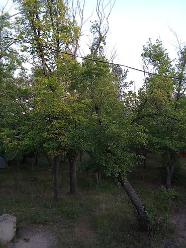 ул исанова: Гостиницы, отели (Посуточная аренда комнат) — 3