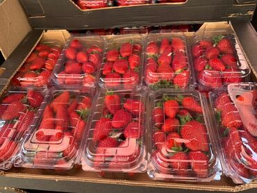 Подарки и сувениры: 🍓🍓🍓 Клубника из Турции, в наличии, только оптом от 5 кг, цена 4000 сом