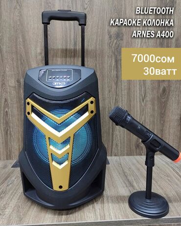 Вокальные микрофоны: КАРАОКЕ КОЛОНКА ARNES A400 Портативная колонка с Bluetooth, LED