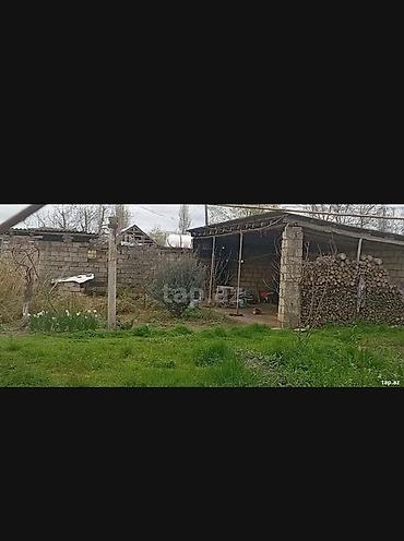 bilgeh ev satilir: Kənd təsərrüfatı, Makler, Kupça (Çıxarış) — 8