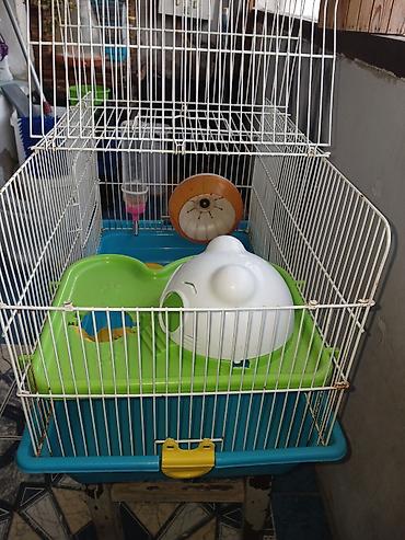 Heyvanlar: Hamster üçün tam dəst qəfəs uzunluqu 55 sm hündürlük 45 sm eni 30 sm — 2