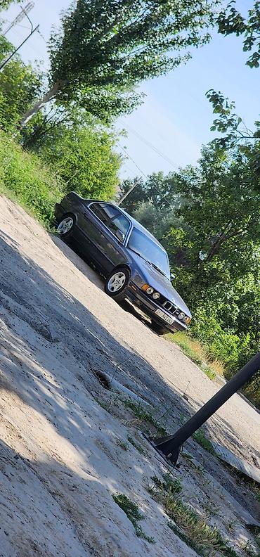 www.55bmw6.com: BMW 5 series: 1989 г., 2.5 л, Механика, Бензин, Седан — 6