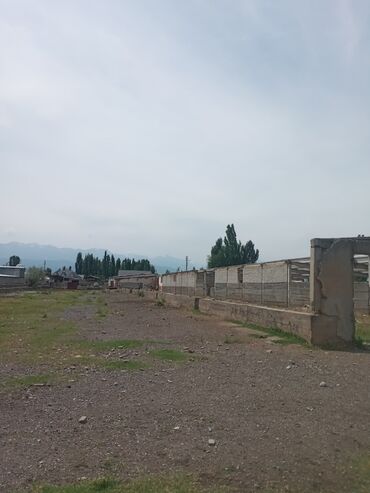 купить дом под снос: Дача, 2132 кв. м, 1 бөлмө, Менчик ээси