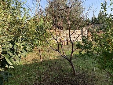 ucarda satilan evler: 2 sot, Tikinti — 3