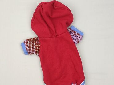 Czerwona bluza z kapturem dla psa. Bluza ma długie rękawy z