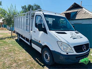 низкий кабина: Грузовой фургон Mercedes-Benz Sprinter (кабина + бортовой кузов с — 6