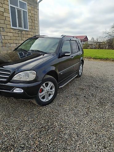фольксваген тигуан л с: Mercedes-Benz M-Class (W163) SUV - Kuzov: qara rəngli 5 qapı, dam — 2