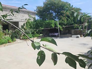 Həyət evi alıram: - Geniş, daşla döşənmiş həyət: yaşıl ağaclar, gül kolları, hasarlı — 7