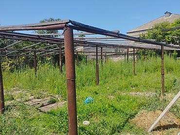 ev tipi çadır: Metal konstruksiya – istixana/üzüm çardağı karkası Hündürlüyü 4 metr — 1