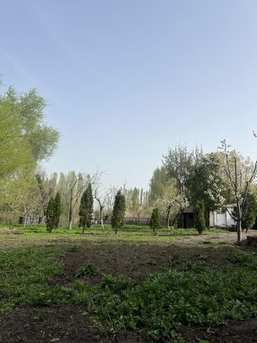 Продажа домов: Дом, 200 м², 13 комнат, Собственник, Косметический ремонт — 10