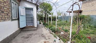 Продажа дач: Продаётся дача с домом и ухоженным участком (с. Нижняя Серафимовна, ДТ — 4