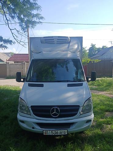 2009: Mercedes-Benz Спринтер: 2009 г., Фургон — 3