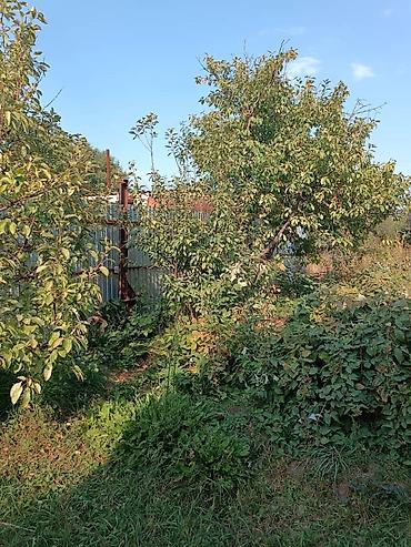 продам участки: Продаётся жилой дом с участком. Характеристики и планировка: - Один — 5