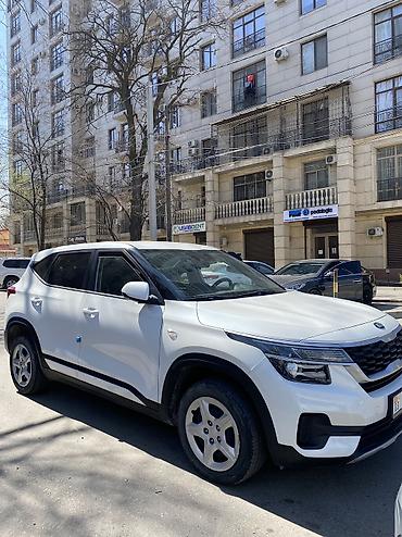 Kia: Kia Seltos: 2020 г., 1.6 л, Робот, Дизель, Кроссовер — 29