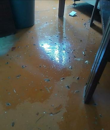 Дезинфекция, дезинсекция: Дезинфекция, дезинсекция, | Клопы, Блохи, Тараканы, | Транспорт, Офисы, Квартиры — 8