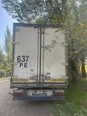 Тягачи: Тягач, MAN, 2004 г., Холодильник, рефрижератор — 5