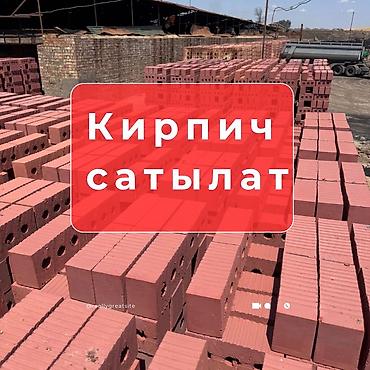 кирпич куйган аппарат: Пустотелый, дырчатый, Жженый кирпич, Одинарный, 250×120×65 — 1