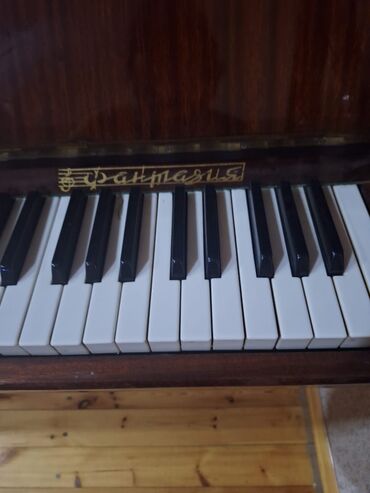 Gitaralar: Upright piano – “Parnasus” (Лира və not işarəli loqo ilə) - Korpus