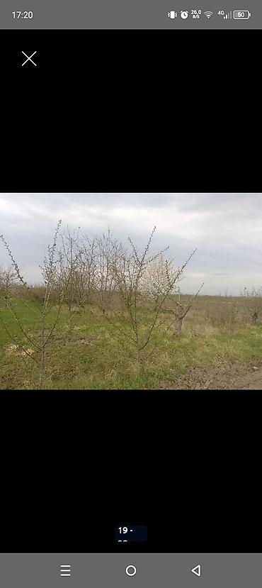 Torpaq sahələrinin satışı: Kənd təsərrüfatı — 18