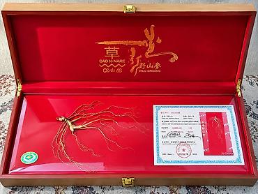 Дикий женьшень Panax (Wild Ginseng) в подарочной коробке новый, 2012