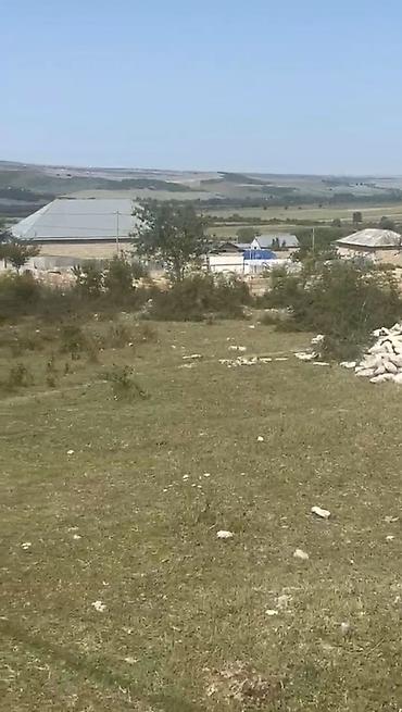 Torpaq sahələrinin satışı: 11 sot, Tikinti, Barter mümkündür, Kupça (Çıxarış) — 2
