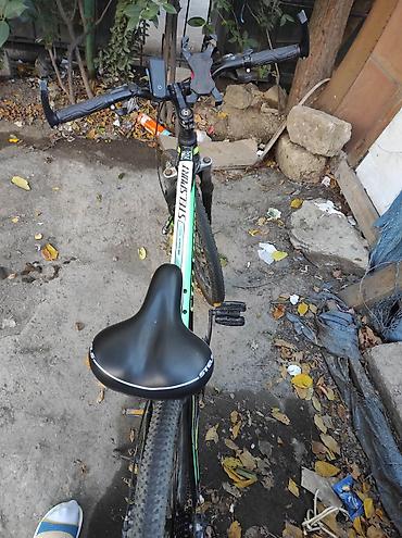 kasset: STELS Sport Z100 dağ velosipedi - Çərçivə: yüngül və möhkəm alüminium — 1