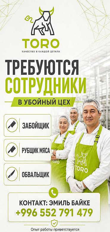 бена блок: Вакансии в компании TORO (качество в каждой детали) — сотрудники в — 1