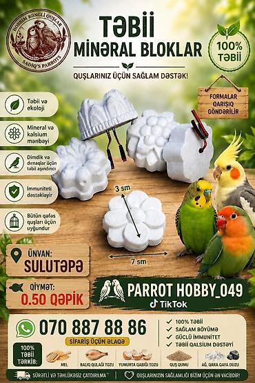 pisiy qumu: Təbii Mineral Bloklar – quşlarınız üçün sağlam dəstək Məhsul təsviri — 1
