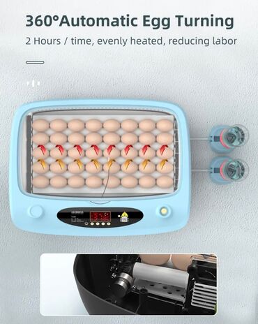 Oprema za kućne ljubimce: INKUBATOR Automatski nove generacije za 40 jaja 12v/220v — 6