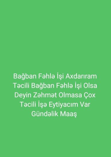 Mebel ustaları: Fəhlələr
