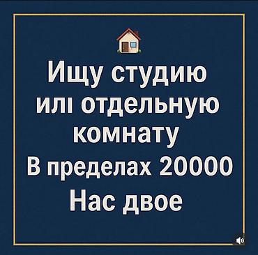 чикаго: Ищем студию или одну комнатную квартиру в любом районе, желательно в — 1