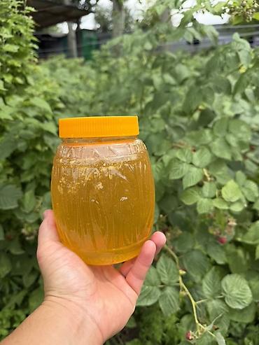 ат тырмо: Натуральный мёд «Ат‑башы» - 100% натуральный продукт - Чистый — 3