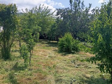 Torpaq sahələrinin satışı: 20 sot, Biznes üçün, Mülkiyyətçi, Kupça (Çıxarış) — 3