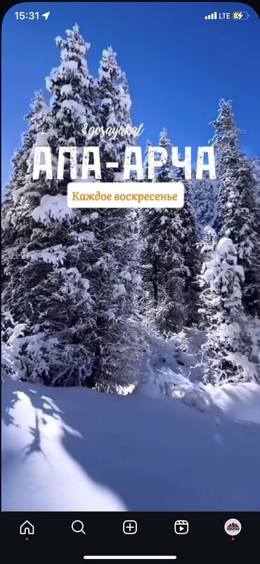 путевка в дубай на 7 дней цена все включено: Ала-Арча: Зимняя сказка Всего в 40 минутах от города вас ждет