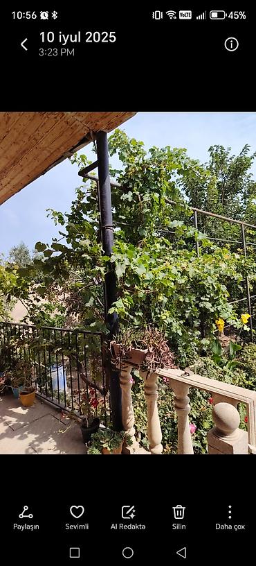 balas: Həyət evi – geniş həyət və meyvə ağacları ilə - Layihə: 1 mərtəbəli — 9