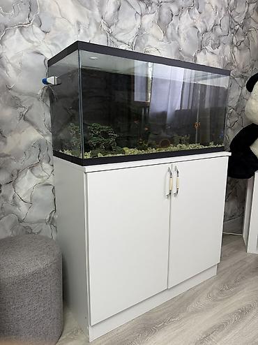akvarium işığı: Dördbucaq akvarium, Boş, 150 l — 4
