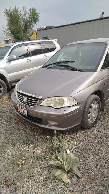 Honda: Honda Odyssey: 2002 г., 3 л, Автомат, Бензин, Минивэн