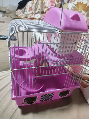 Qəfəslər: Hamster üçün qəfəs – çoxmərtəbəli, aksesuarlarla ki - Rəng — 10