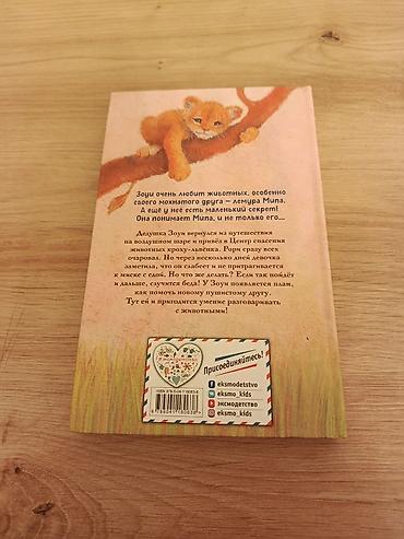 рор: Книга для детей: «Зоуи и Мим. Львенок на воздушном шаре» Автор — 2